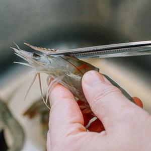 Cách làm canh tôm nấu củ sen