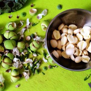 Cách làm canh tôm nấu củ sen