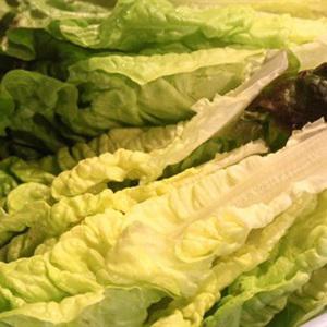 Cách làm canh xà lách nấu mọc