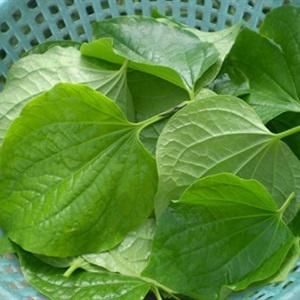 Cách làm chả cá cuốn lá lốt