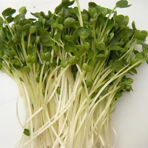 Cách làm chả giò chay chiên giòn