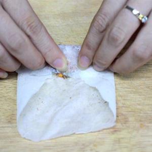 Cách làm chả giò nhân thịt nấm