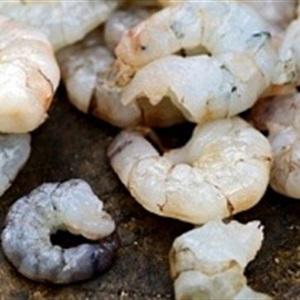 Cách làm chả tôm thơm ngon