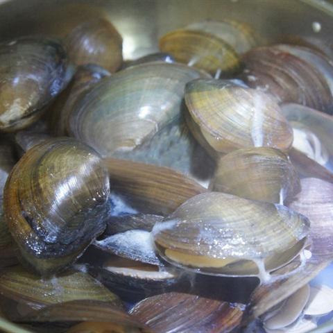 Cách làm chả trai thì là