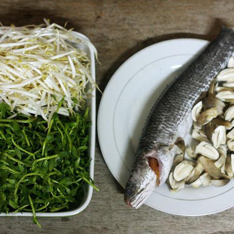 Cách làm cháo cá lóc bằng nồi cơm điện