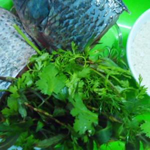 Cách làm cháo cá trắm
