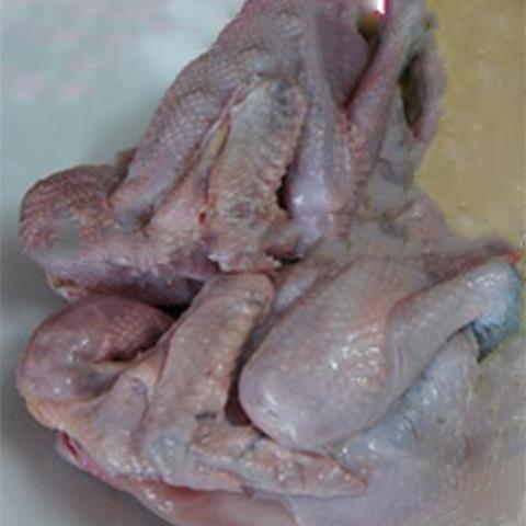 Cách làm cháo gà hạt sen