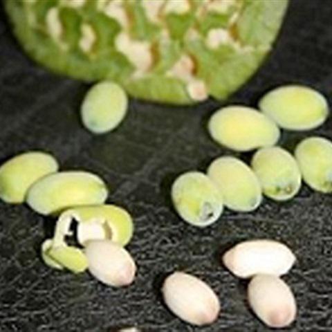 Cách làm cháo hạt sen