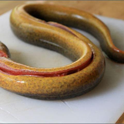 Cách làm cháo lươn cà rốt