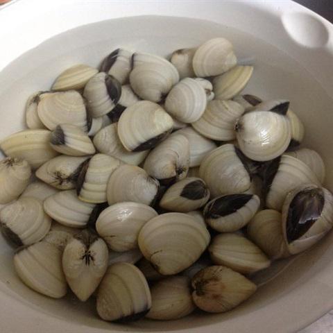 Cách làm cháo nghêu