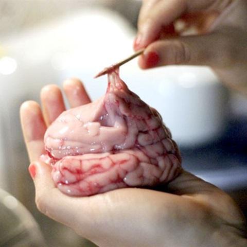 Cách làm cháo óc heo và đậu Hà Lan