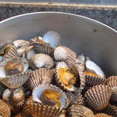 Cách làm cháo sò huyết