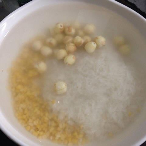 Cách làm cháo thịt chim bồ câu