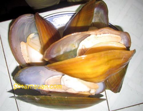 Cháo trai – món ăn ngon và chữa nhiều bệnh