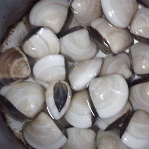 Cách làm cháo trắng nấu nghêu