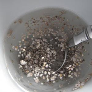 Cách làm chè bắp sương sáo