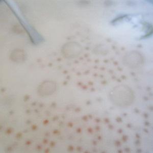 Cách làm chè bột báng khoai môn