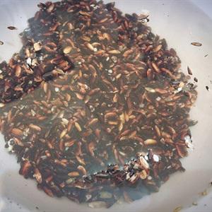 Cách làm chè chuối nếp cẩm tại nhà