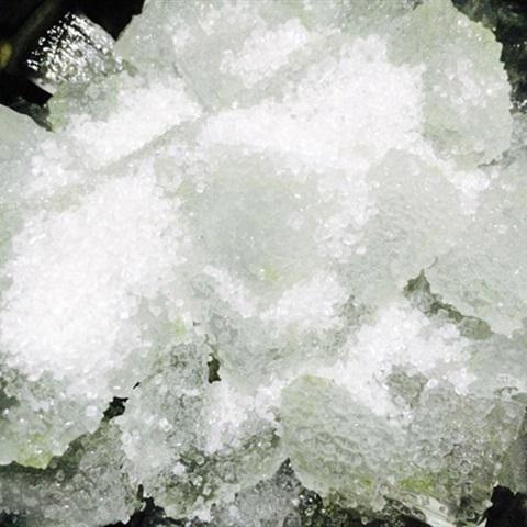 Cách làm chè giải nhiệt nha đam đậu xanh