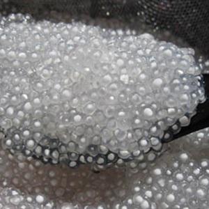 Cách làm chè đu đủ cốt dừa