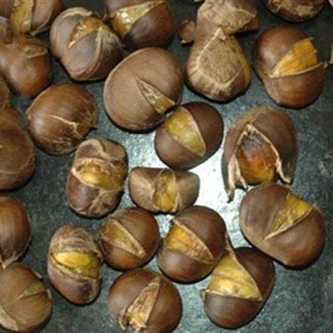 Cách làm chè hạt dẻ