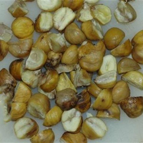 Cách làm chè hạt dẻ