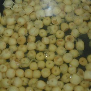 Cách làm chè hạt sen dừa