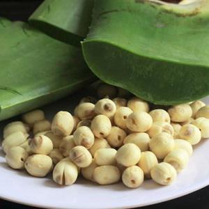 Cách làm chè hạt sen nấu nha đam