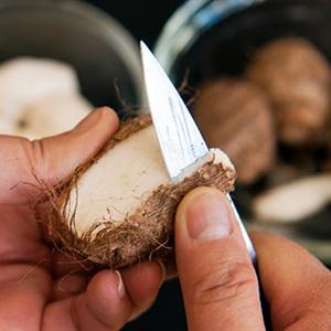 Cách làm chè khoai sọ