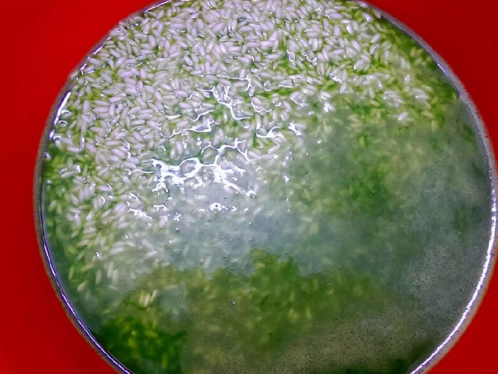 Chè khúc bạch tứ vị xóa tan cái nóng ngày Hè