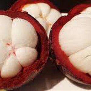 Cách làm chè măng cụt