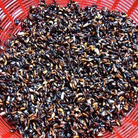 Cách làm chè nếp cẩm đậu trắng