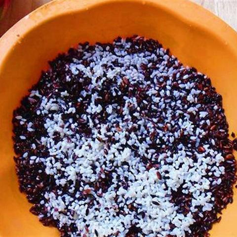 Cách làm chè nếp cẩm sữa dừa