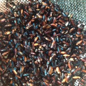 Cách làm chè nếp than nước cốt dừa