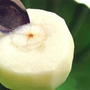 Cách làm chè sen hấp lê