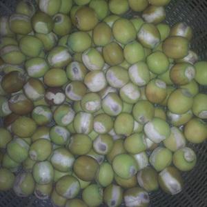 Cách làm chè sen ngọt mát