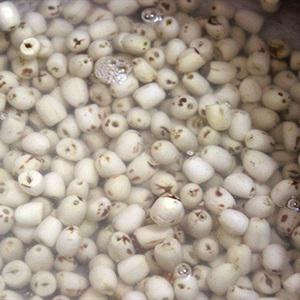 Cách nấu chè sen nhãn dừa