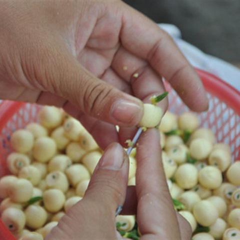 Cách làm chè sen nhãn