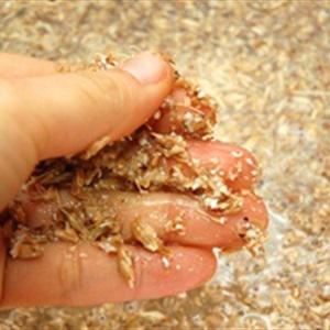 Cách làm chè Sikhye mát lạnh