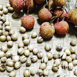 Cách làm chè vải hạt sen