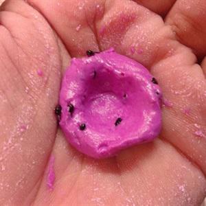 Cách làm chè viên thanh long nhân nhãn