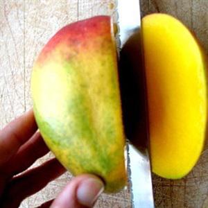 Cách làm chè xoài bột báng handmade