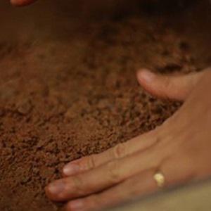 Cách làm cheesecake tình yêu