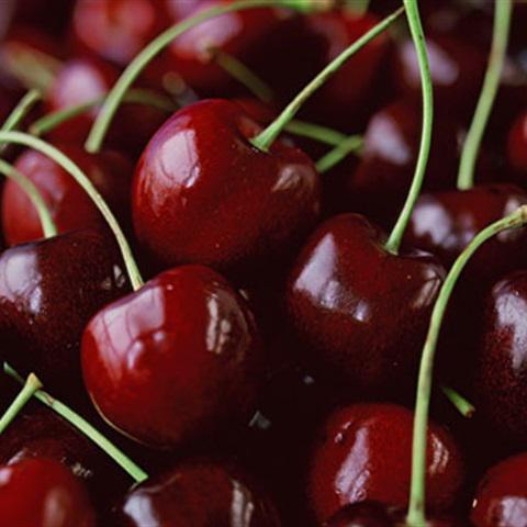 Cách làm cherry bọc chocolate