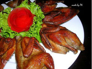 Chim quay nước dừa