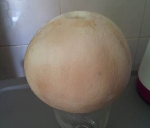 Chuối chiên tẩm vừng thơm bùi, béo ngậy ai ăn cùng nghiền