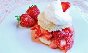 Côca quất hương thảo nóng hổi lạ miệng