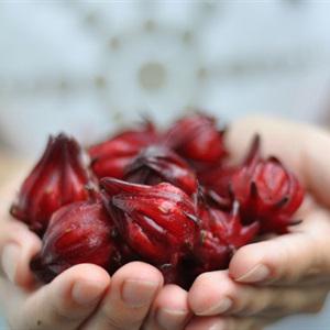 Cách làm cocktail bụp giấm