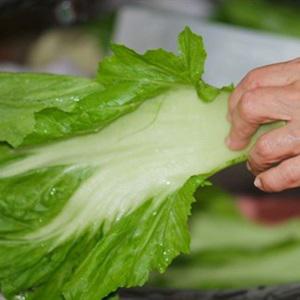 Cách làm cơm gà chiên cải xanh