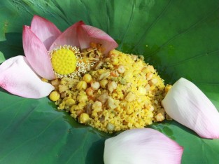 Cơm gà gói lá sen